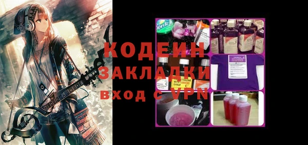 дурь Вяземский