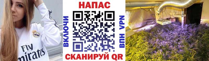 Бошки Шишки LSD WEED  мега маркетплейс  Архангельск 